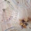 Lot de 6 ramequins coquillage pyrex coquille saint jacques – Image 3